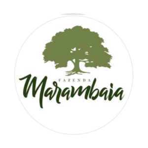 Design sem nome (59)